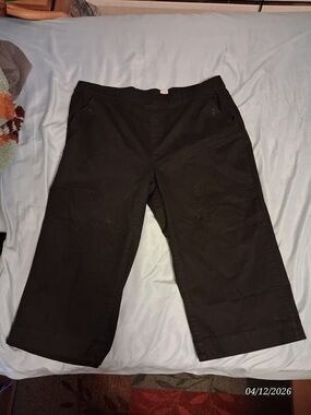 Terra & Sky Black Stretch Capri Pants ✨ Plus Size 2X